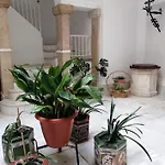 Candelaria Cornerflat * 加的斯