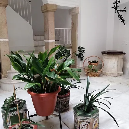 Candelaria Cornerflat * Cadiz