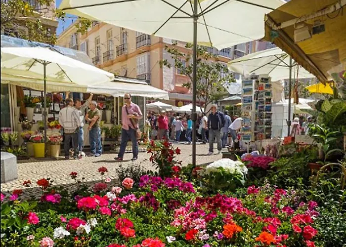 Candelaria Cornerflat * Cádiz