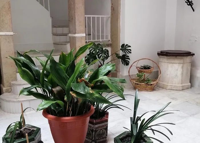 Candelaria Cornerflat * كاديز